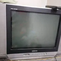 تلویزیون