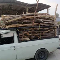 خریدار هرگونه چوب هرسی و....|خدمات باغبانی و درختکاری|شهریار, دهشاد بالا|دیوار