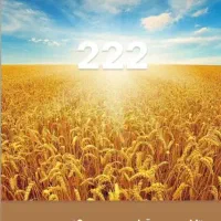 زمین در قطعات محدود فروشی جاده ده خیر