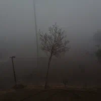 زمین باغ ‌ویلایی