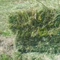 یونجه‌پرس‌چین‌اول روستای خانتختی