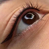 فیبروز ببلیدینگ،خط چشم،بن مژه ،آموزش آرایش دائم|خدمات آرایشگری و زیبایی|سبزوار, چهارراه فرودگاه|دیوار
