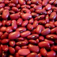 لوبیا قرمز افغان