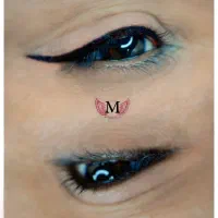 میکرو،شیدلب،خط چشم،بن مژه|خدمات آرایشگری و زیبایی|تربتحیدریه, مظفریه|دیوار