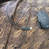 موس تسکو