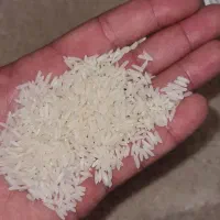 برنج هاشمی طارم  اعلا