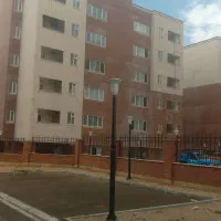 زیتون ۳۱ کلید نخورده
