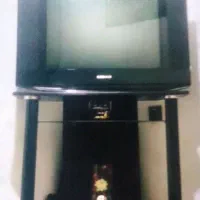 تلویزیون ایرانی صنام