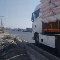 کاه گندم کردستان|لوازم جانبی حیوانات|زابل, |دیوار