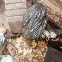 لاستیک پژو دور 15باکس چراغ پراید روکش سمند|قطعات یدکی و لوازم جانبی|زاهدان, |دیوار