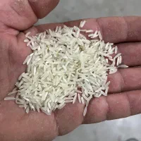 فروش برنج و نیمدانه و لاشه و ضایعات برنجی|خوردنی و آشامیدنی|گرگان, |دیوار