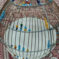 قفس سهره خاکی
