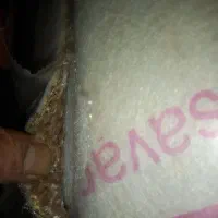 ۷۲ متر موکت نو نو|موکت|مشهد, سعد آباد|دیوار