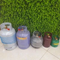 پیک نیک با گاز پر