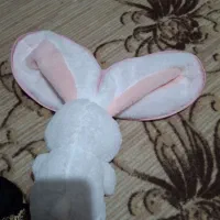 خرگوش عروسک|اسباب‌بازی بچه|زابل, |دیوار