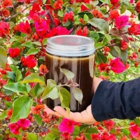سردی و بلغم /کبدچرب/مشکلات جنسی خانمها و آقایان