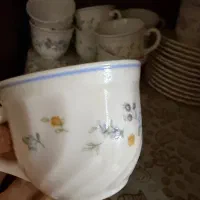 فنجان ویکتوریا