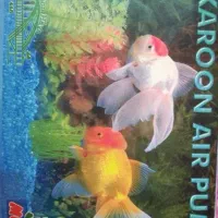 پمپ هوا آکواریوم