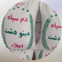 برنج دم سیاه محلی تنگه چهل چای مینودشت