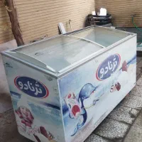 فریزرصندوقی 600 لیتری