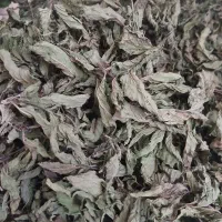 نعنا خشک خوش عطر و تمیز