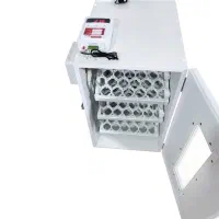 تولیدکننده دستگاهای جوجه کشی تکنوماشین