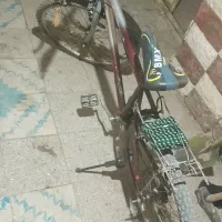 دوچرخه|دوچرخه، اسکیت، اسکوتر|تایباد, |دیوار