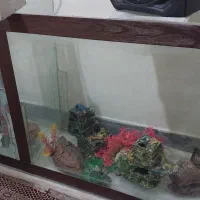 اکواریوم