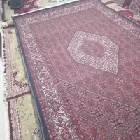 فرش بسیار زیبا وخوش نقش|فرش|ایجرود, |دیوار