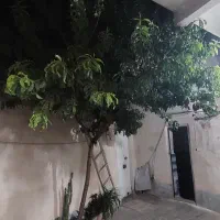 خانه ویلایی ۸۵متری باقرآباد|فروش خانه و ویلا|قرچک, باقرآباد|دیوار