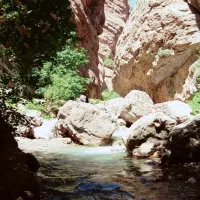 راهنمایی طبیعت گردی