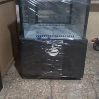 شو کیک ایستاده و رومیزی