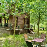 ویلای جنگلی با امکانات تفریحی کامل