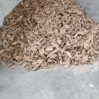 نان خشک تمیز تافتون