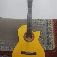 معاوضه و فروش گیتار دیاموند مدل الماسه