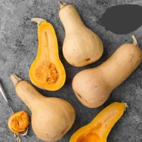 کدو حلوایی|خوردنی و آشامیدنی|فریمان, |دیوار