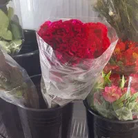 دسته گل|گل و گیاه طبیعی|اصفهان, ملک‌شهر|دیوار