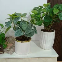 گل مصنوعی|گل مصنوعی|سرپل ذهاب, |دیوار