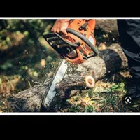 هرس و برش درختان باغی و سم پاشی درختان نخل