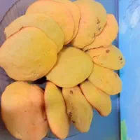 انواع کیک|خوردنی و آشامیدنی|بیرجند, |دیوار