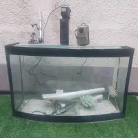 اکواریوم با وسایل