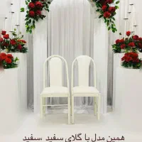 سفره عروسی ، عقد، بله برون، حنا بندون وتولد|خدمات پذیرایی، مراسم|شادگان, |دیوار