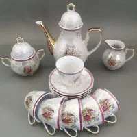 سرویس صدفی دنسی