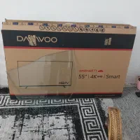 کارتن تلوزیون ۵۵ ایننچ دوو