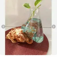 گلدان سنگی و شیشه ای|صنایع دستی و سایر لوازم تزئینی|کلات (خراسان), |دیوار