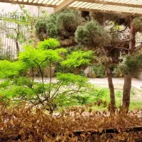 جردن-750متر-یکجا-در-4-طبقه-دوبلکس