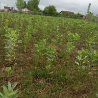 زمین-2300-متر-فروش-فوری