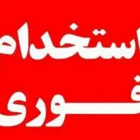 استخدام نیروی فنی