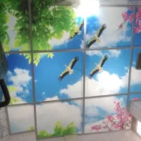 اجرای آسمان مجازی