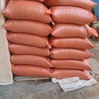 لوبیاقرمز رقم یاقوت|خوردنی و آشامیدنی|زنجان, |دیوار